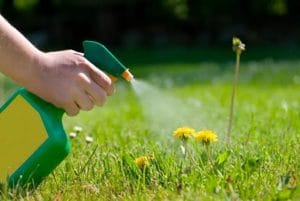 Win the war on weeds
