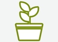 Hardy Plant Logo