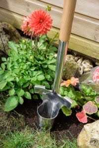 Kent & Stowe Long Handled Bulb Planter – Stainless Steel Kent & Stowe Long Handled Bulb Planter – Stainless Steel