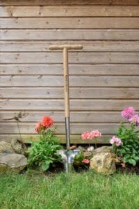 70100144 ss bulb planter 30298981850 o e1567613663435