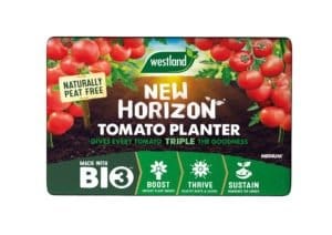 Westland New Horizon Tomato Planter (2 Plant) – Medium