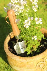 70100091 ss transplanting trowel hi res 31387954514 o e1567601317544