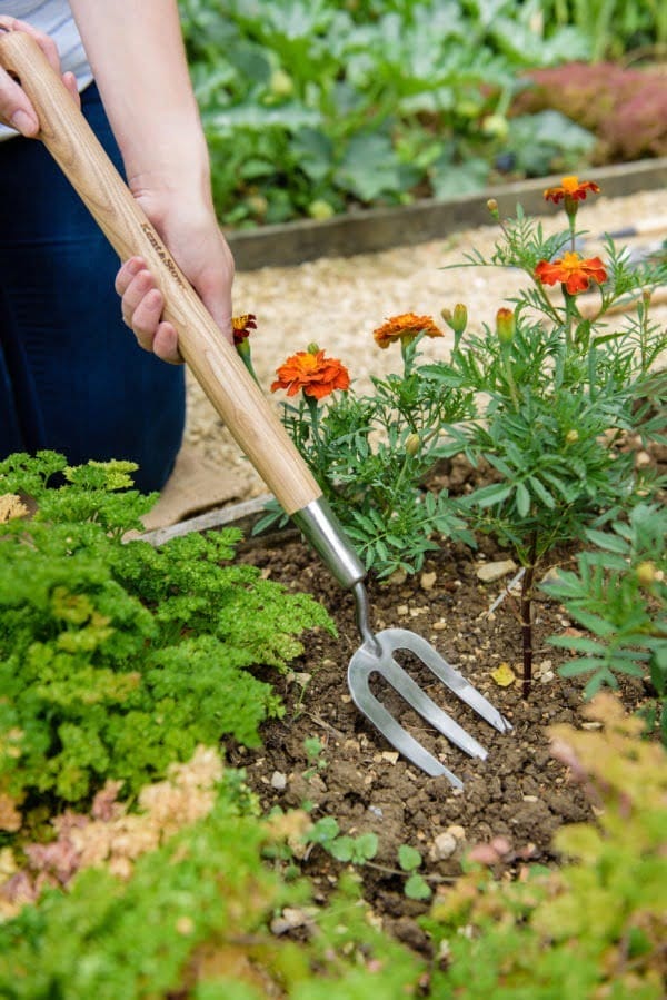 Kent & Stowe Stainless Steel Border Hand Fork