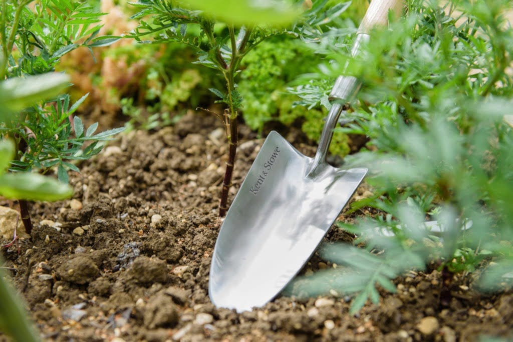 70100116 ss border hand trowel closeup 30598929235 o e1567601356467