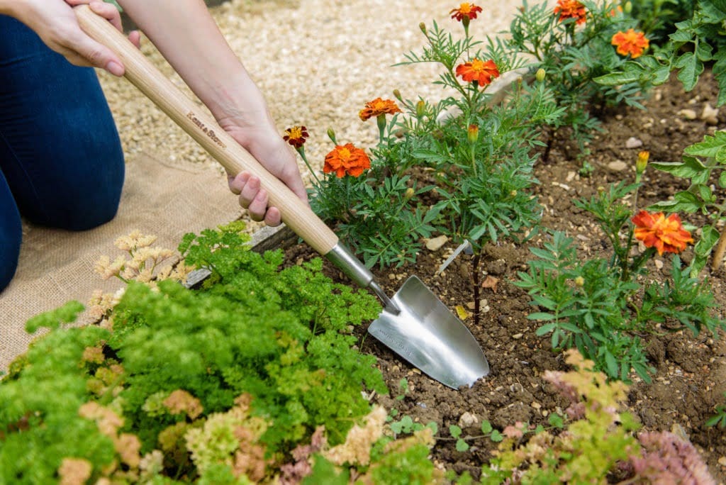 70100116 ss border hand trowel 30562183336 o e1567601367996