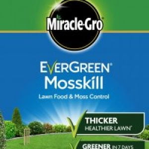 MIRACLE GRO® EVERGREEN® MOSSKILL 80 sqm