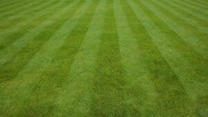 background striped lawn