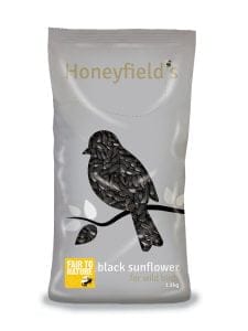 Honeyfields Black Sunflowers