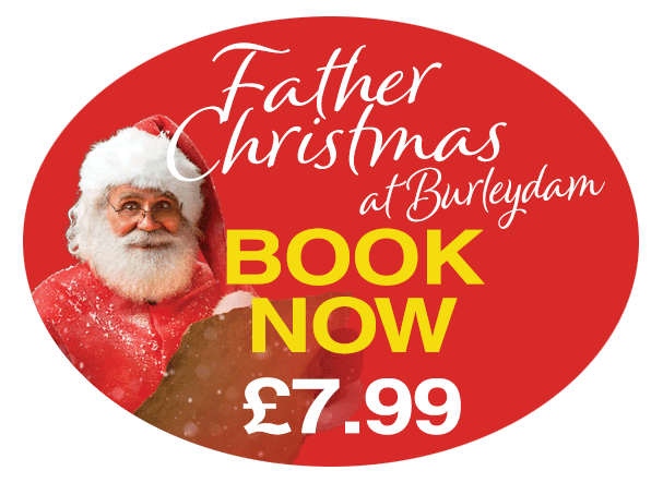 book now