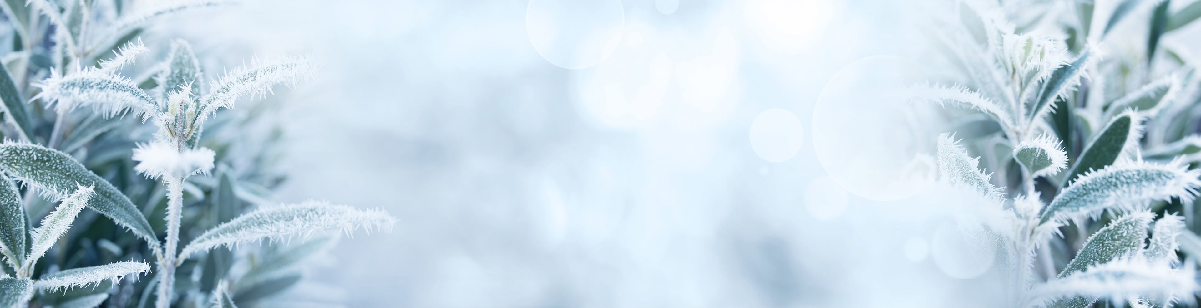 Wintergardening