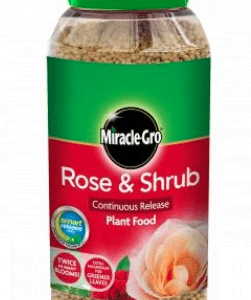Miracle-Gro Rose & Shrub Continuous Release Plant Food – 1kg