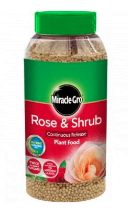Miracle-Gro Rose & Shrub Continuous Release Plant Food – 1kg
