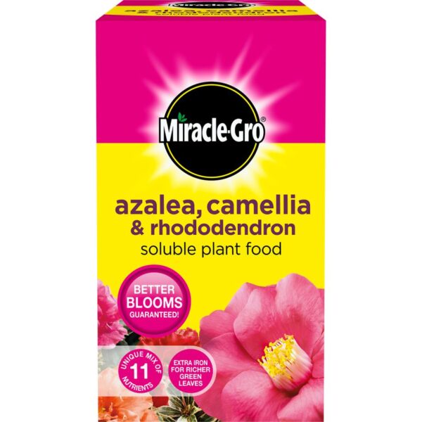 Miracle-Gro® Azalea, Camellia & Rhododendron Soluble Plant Food – 1kg
