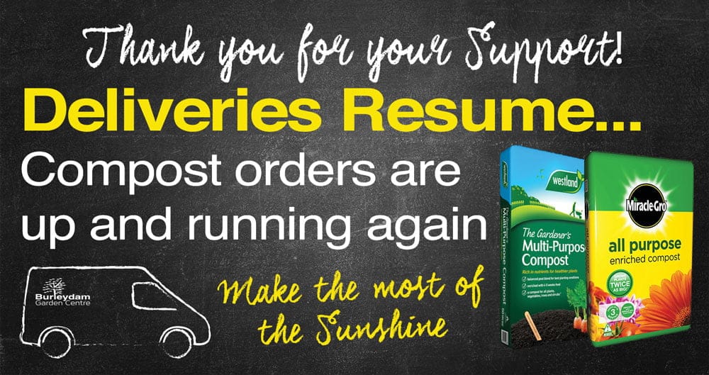 compost resume