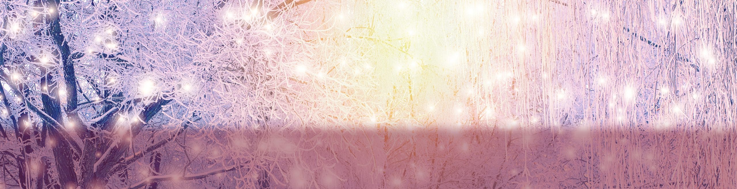 frosty xmas 2020 slider2 scaled