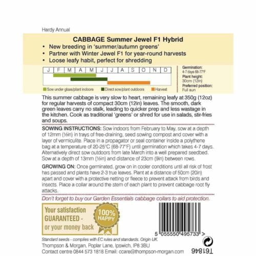 Cabbage Summer Jewel F1 Hybrid Burleydam Garden Centre