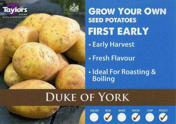 Seed Potato – DUKE OF YORK – 2kg