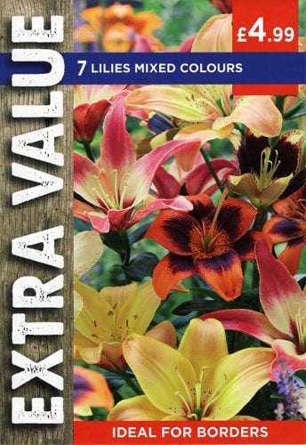 LILIES MIXED COLOURS – Extra Value
