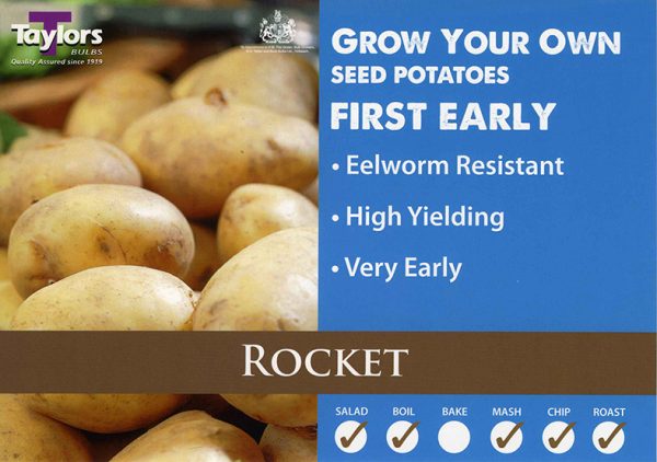 Seed Potato – ROCKET – 2kg