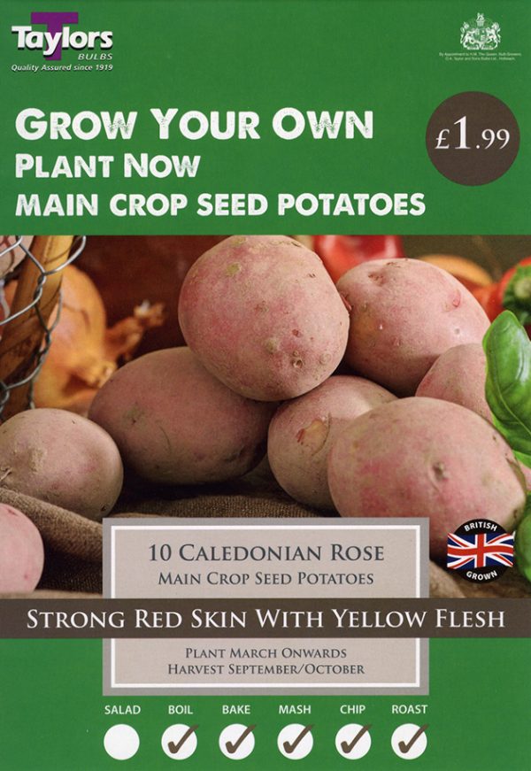 Seed Potato – CALEDONIAN ROSE