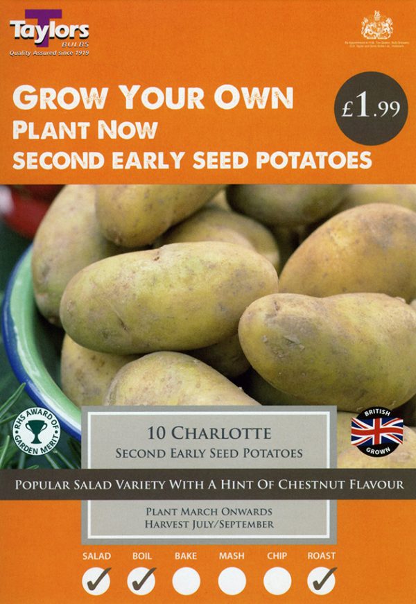 Seed Potato – CHARLOTTE