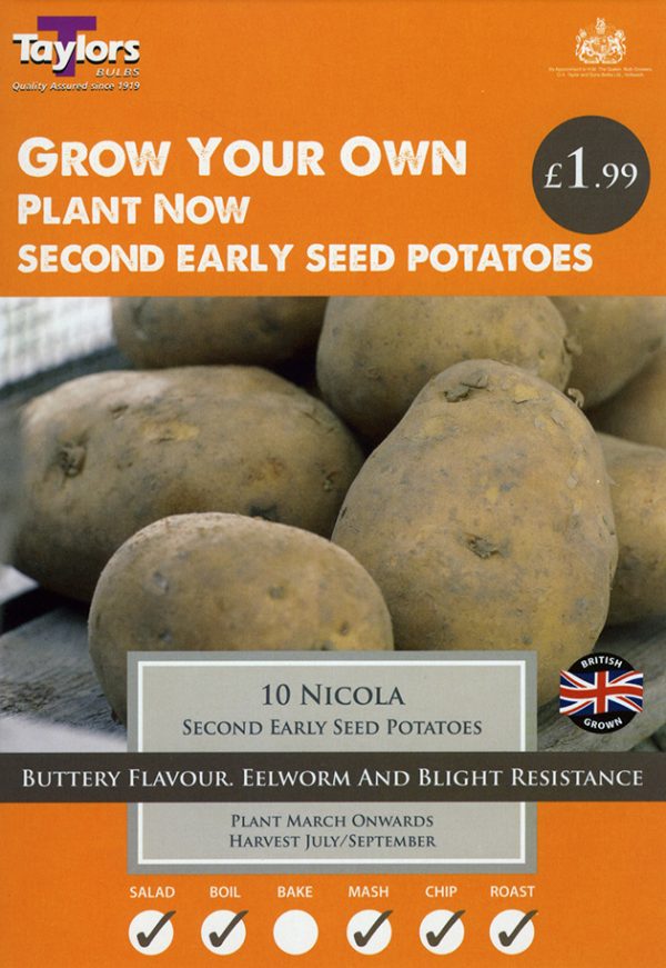 Seed Potato – NICOLA