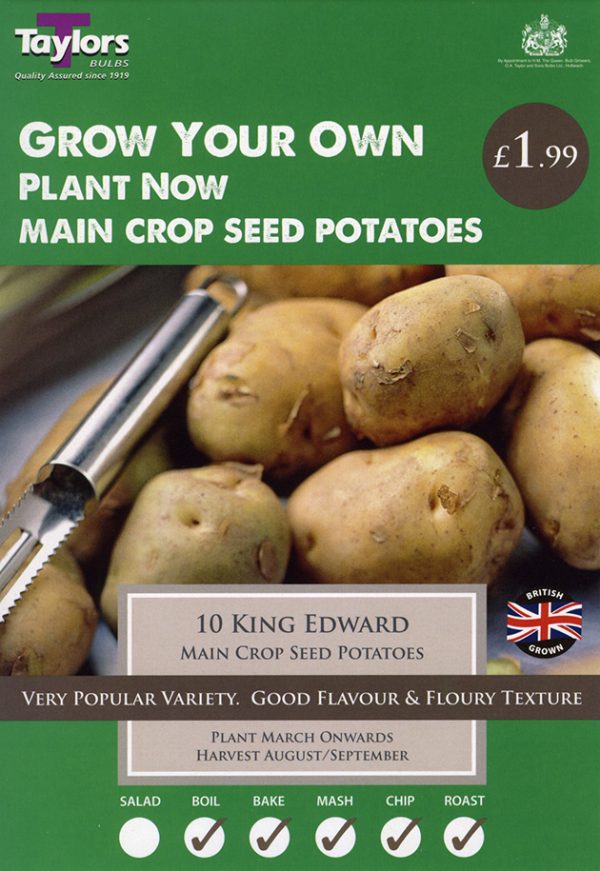 Seed Potato – KING EDWARD