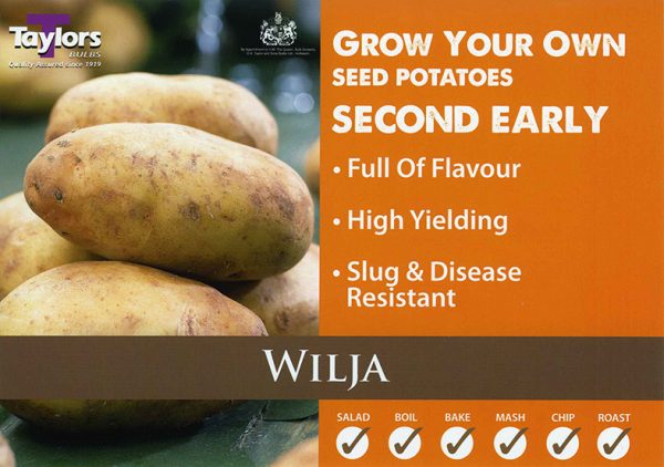Seed Potato – Wilja – 2Kg