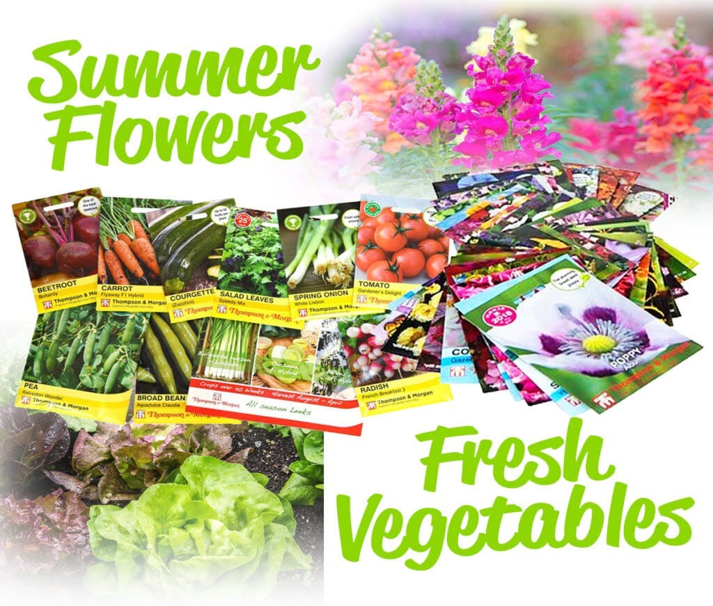 seed sowing blog image