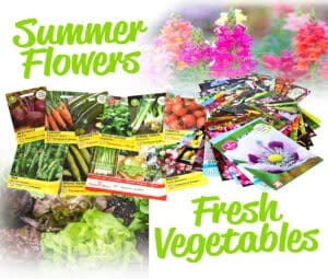 seed sowing blog image