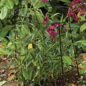 Double Flexi Ring – 35cm x 90cm