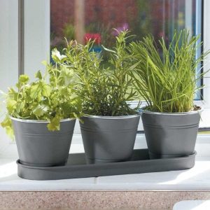 Windowsill Herb Pots – Slate