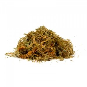 Sphagnum Moss – Jumbo