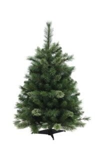 BEGR 30 scaled e1633018461404