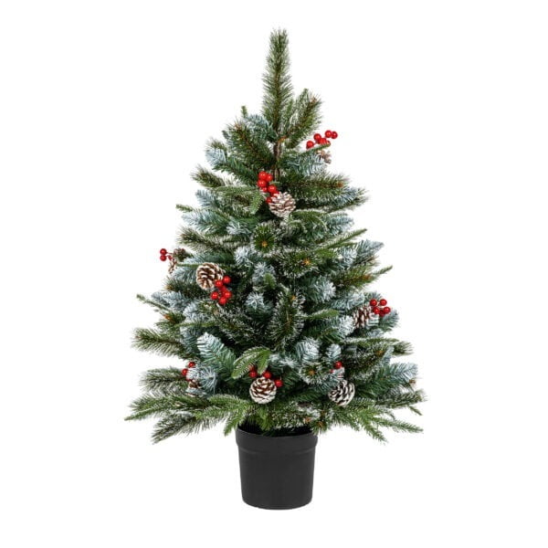 Premier New Jersey Spruce Tree – 3Ft