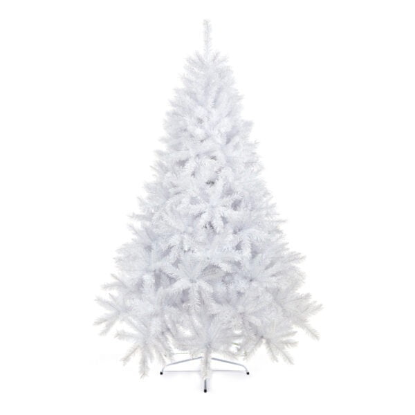 Premier White Spruce Tree – 1.8M
