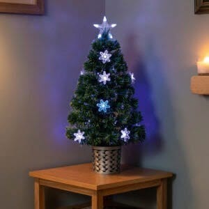 FT1910431 e1636542191565