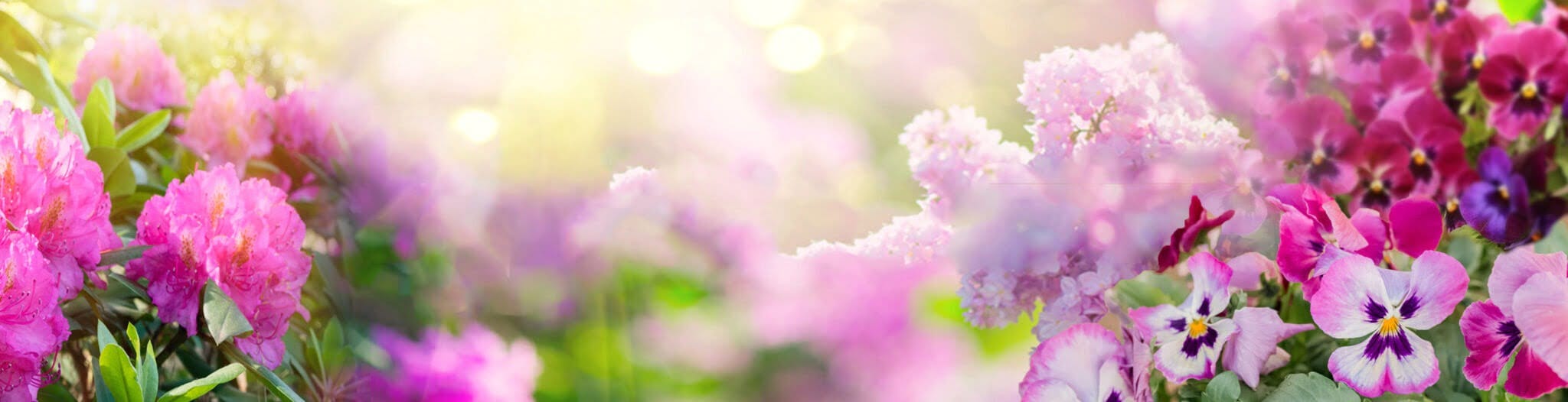 Spring Gardening 2022 slider scaled