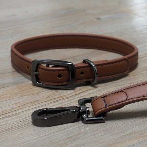 Zoon Luxe Leather – Hazel – M WalkAbout Dog Collar – (38cm-45cm)