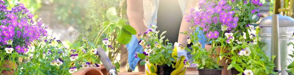 Spring Gardening 2023 Slider