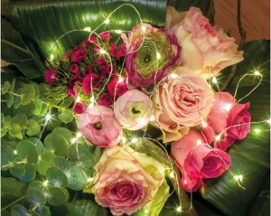 Kaemingk Micro 40 LED Bunch – Steady Effect – Indoor – BO – Silver/Warm White