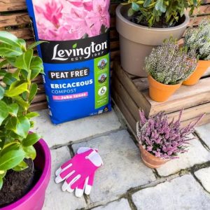 Levington® John Innes Ericaceous Peat Free – 25L Levington® John Innes Ericaceous Peat Free – 25L