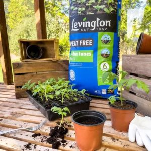 Levington® John Innes No1 Peat Free – 25L