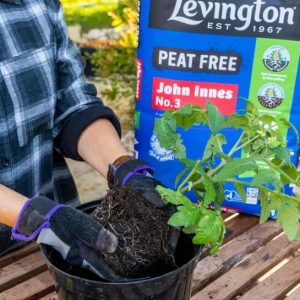 Levington® John Innes No3 Peat Free – 25L Levington® John Innes No3 Peat Free – 25L