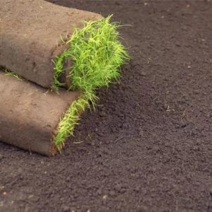 Levington® Top Soil Peat Free – 30L
