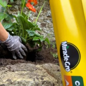 Scotts Miracle Gro All Purpose Compost – 50L