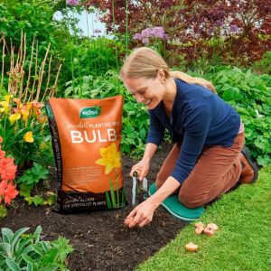 Westland Bulb Planting and Potting Mix Peat Free – 20L