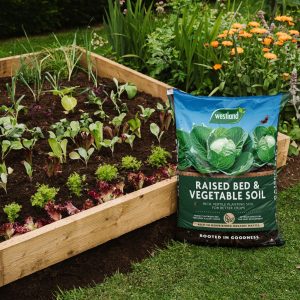 Westland Raised Bed & Vegetable Soil – 40L