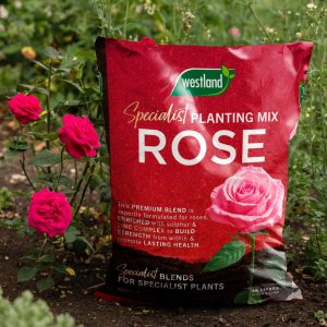 Westland Rose Planting and Potting Mix Peat Free – 46L Westland Rose Planting and Potting Mix Peat Free – 46L