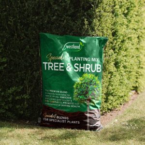 Westland Tree and Shrub Planting and Potting Mix Peat Free – 46L